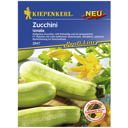 KIEPENKERL Zucchini pepo Cucurbita